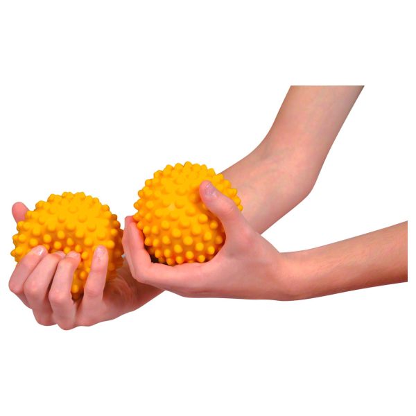 سنسی بال جیمنیک sensy ball gymnic - Image 2